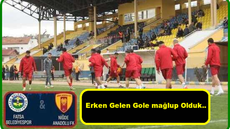 Niğde Anadolu FK Erken Gelen Golle Kaybetti..
